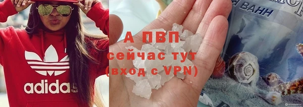 стаф Арсеньев