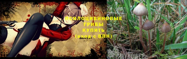 бутират Армянск